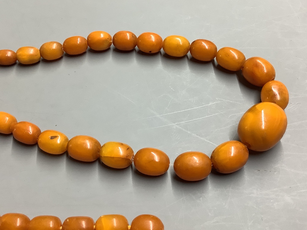 Two single strand graduated oval amber bead necklaces, 60cm & 42cm, gross weight 60 grams.